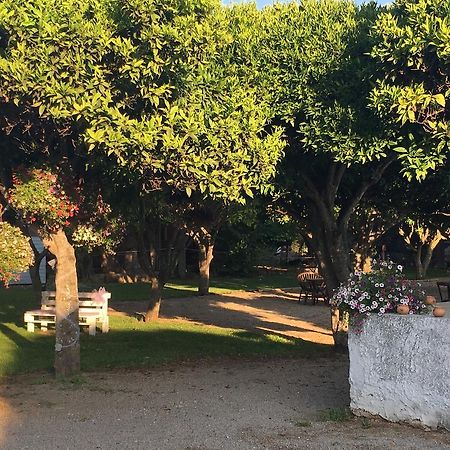 La Purissima Bed & Breakfast Alghero Exterior photo